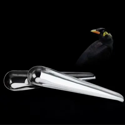 2 Pack S Size Durable Stainless Steel Bird Feeder Spoons3 2 Pack S Size Durable Stainless Steel Bird Feeder Spoons3