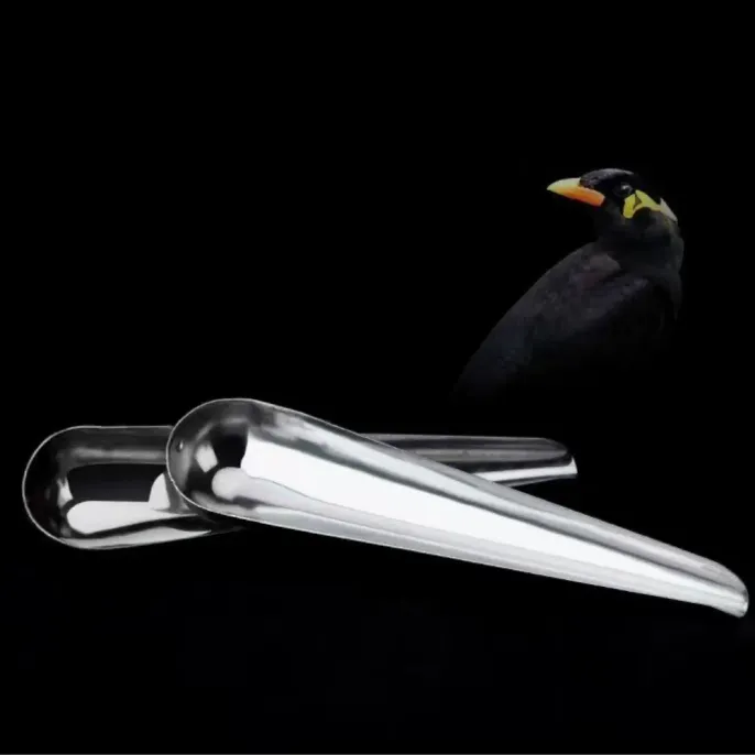 2 Pack S Size Durable Stainless Steel Bird Feeder Spoons3 2 Pack S Size Durable Stainless Steel Bird Feeder Spoons3