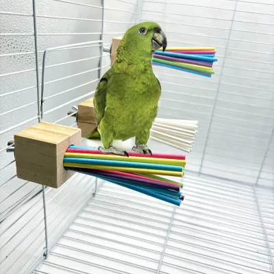 Colorful Hanging Bird Perch with Chewable Paper Sticks6 Colorful Hanging Bird Perch with Chewable Paper Sticks6