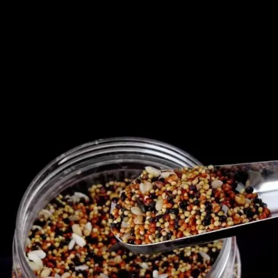 Durable Stainless Steel Bird Feeder Spoons1 Durable Stainless Steel Bird Feeder Spoons1