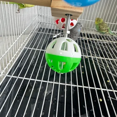 Hanging Bird Stand Perch Toy with Rotating Balls5 Hanging Bird Stand Perch Toy with Rotating Balls1