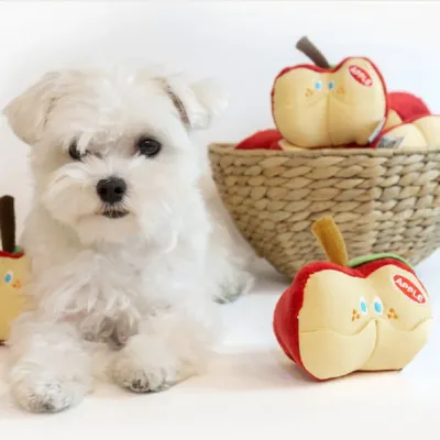 Apple Shaped Plush Pet Toy with Hidden Treat Compartment6 Apple Shaped Plush Pet Toy with Hidden Treat Compartment