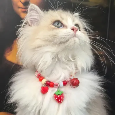 Adjustable Breathable Polyester Pet Collar with Bell12 Adjustable Breathable Polyester Pet Collar with Bell12