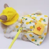 Rabbit Clothing Accessories and Leash Set4