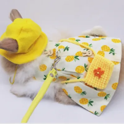 Rabbit Clothing Accessories and Leash Set4