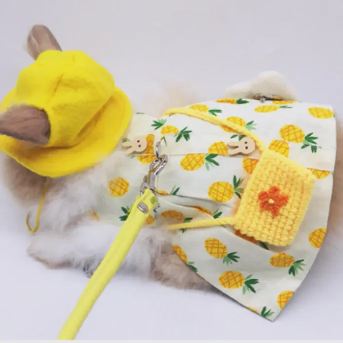Rabbit Clothing Accessories and Leash Set4