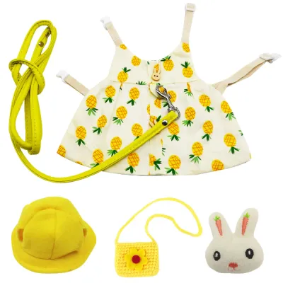 Rabbit Clothing Accessories and Leash Set9 Rabbit Clothing Accessories and Leash Set9