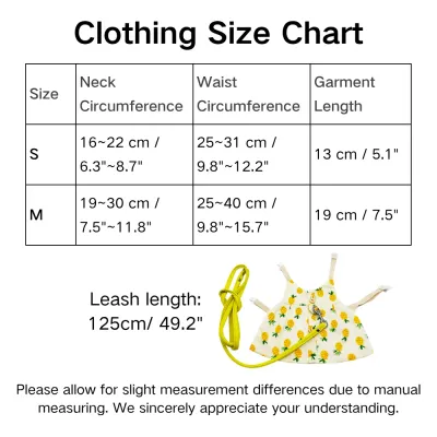 Rabbit Clothing Accessories and Leash Set