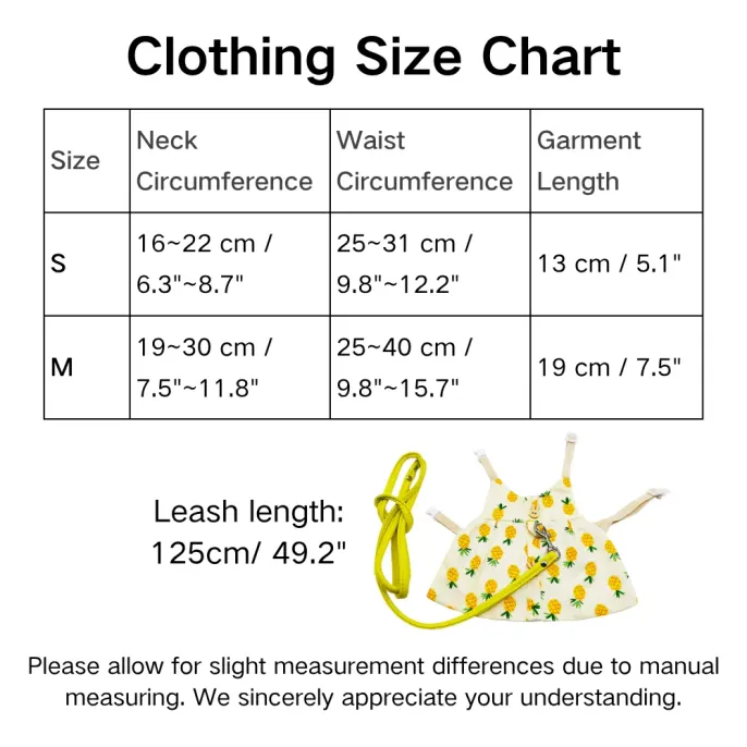 Rabbit Clothing Accessories and Leash Set
