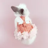 Stylish Cute Cotton Rabbit Dress with Leash