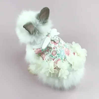 Stylish Cute Cotton Rabbit Dress with Leash6 Stylish Cute Cotton Rabbit Dress with Leash