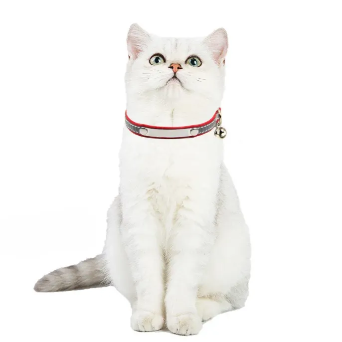 Reflective Adjustable PU Leather Cat Collar with Bell