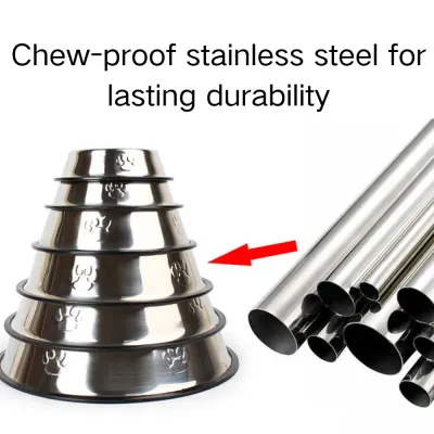 Durable Stainless Steel Pet Bowl with Rubber Base6 Durable Stainless Steel Pet Bowl with Rubber Base