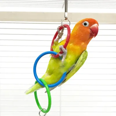 Colorful Parrot Hanging Ring Toy with Bell