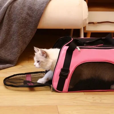 2 Colour Adjustable Pet Collar For Cats and Small Dogs