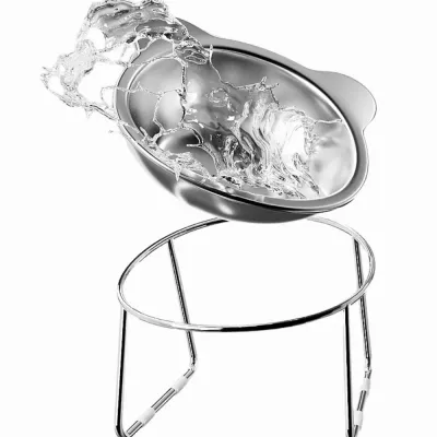 Stainless Steel Bowls with a Sturdy Anti-Slip Durable Pet Bowl Stainless Steel Bowls with a Sturdy Anti-Slip Durable Pet Bowl