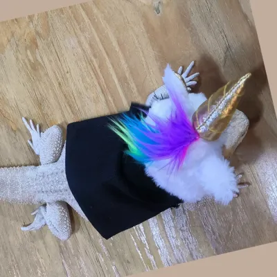 Felt Unicorn Costume and Felt Pet Outfit for Lizard Felt Unicorn Costume and Felt Pet Outfit for Lizard
