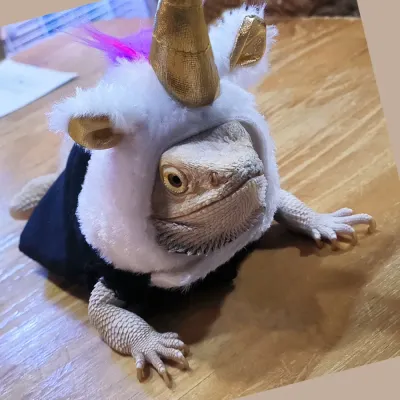 Felt Unicorn Costume and Felt Pet Outfit for Lizard Felt Unicorn Costume and Felt Pet Outfit for Lizard