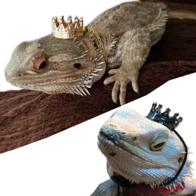 Crown and Neckless Costume Pet Outfit for Lizard