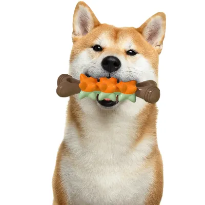 Bone TPR Dog Chew Toy Durable Teething Toy for Small Dogs Bone TPR Dog Chew Toy Durable Teething Toy for Small Dogs