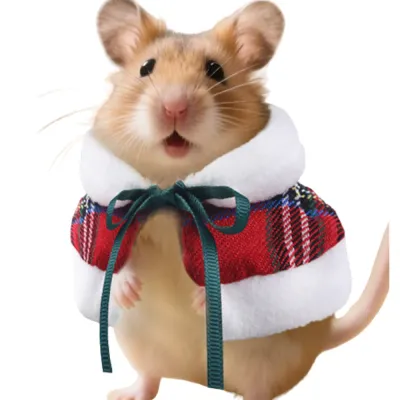Small Animal Christmas Costume for Hamster Guinea Pig Small Animal Christmas Costume for Hamster Guinea Pig