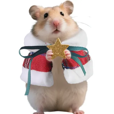 Small Animal Christmas Costume for Hamster Guinea Pig Small Animal Christmas Costume for Hamster Guinea Pig
