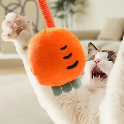 Interactive Self-Play Plush Chew Rope Toy for Cats Interactive Self-Play Plush Chew Rope Toy for Cats