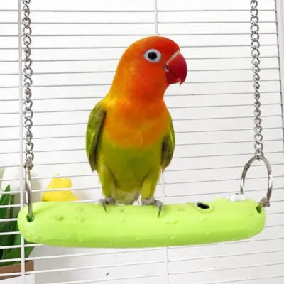 Easy to Clean Cucumber Style PLA Bird Swing Toy5 Easy to Clean Cucumber Style PLA Bird Swing Toy