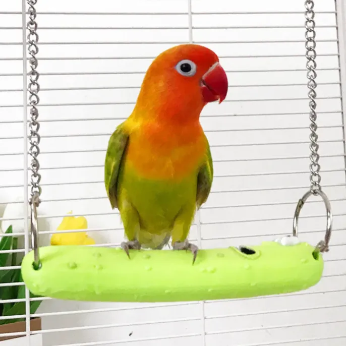 Easy to Clean Cucumber Style PLA Bird Swing Toy