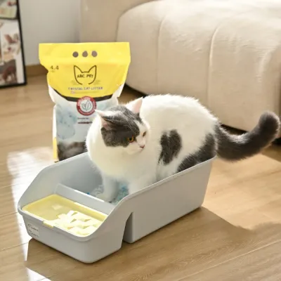 Crystal Cat Litter_8