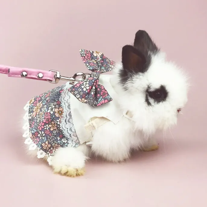 Stylish Cute Cotton Floral Rabbit Dress with Leash4 Stylish Cute Cotton Floral Rabbit Dress with Leash