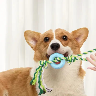 Chew-Resistant Pet Dog Cotton Rope with TPR Ring5 Chew-Resistant Pet Dog Cotton Rope with TPR Ring