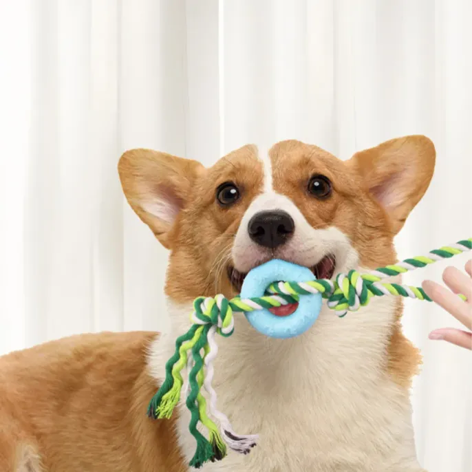 Chew-Resistant Pet Dog Cotton Rope with TPR Ring5 Chew-Resistant Pet Dog Cotton Rope with TPR Ring