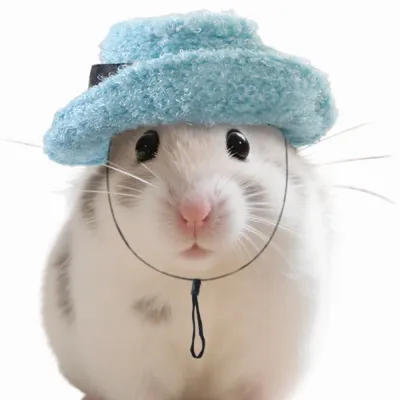 Small Animal Sky Blue Hat for Hamster Guinea Pig Small Animal Sky Blue Hat for Hamster Guinea Pig