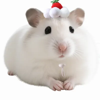 Small Animal Strawberry Cream Cake Hat for Hamster Guinea Pig Small Animal Strawberry Cream Cake Hat for Hamster Guinea Pig