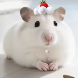 Small Animal Strawberry Cream Cake Hat for Hamster Guinea Pig