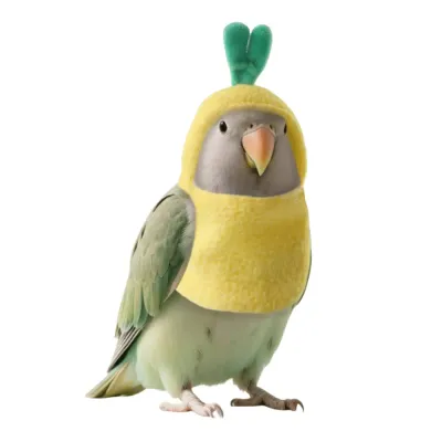 Cute Pineapple Style Comfortable Polyester Bird Clothes Cute Pineapple Style Comfortable Polyester Bird Clothes