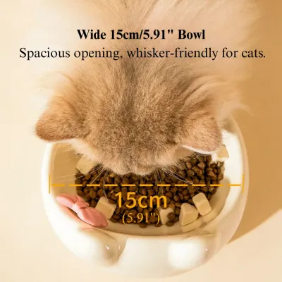 anti spill pet bowl Ceramic Raised Cat Bowl Tilted Design Elevated Pet Feeding Dish