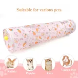 Carrot Tunnel Straight Design Foldable Small Animal Play Tube