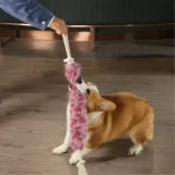 Plush Pet Toys_8 Plush Pet Toys_8