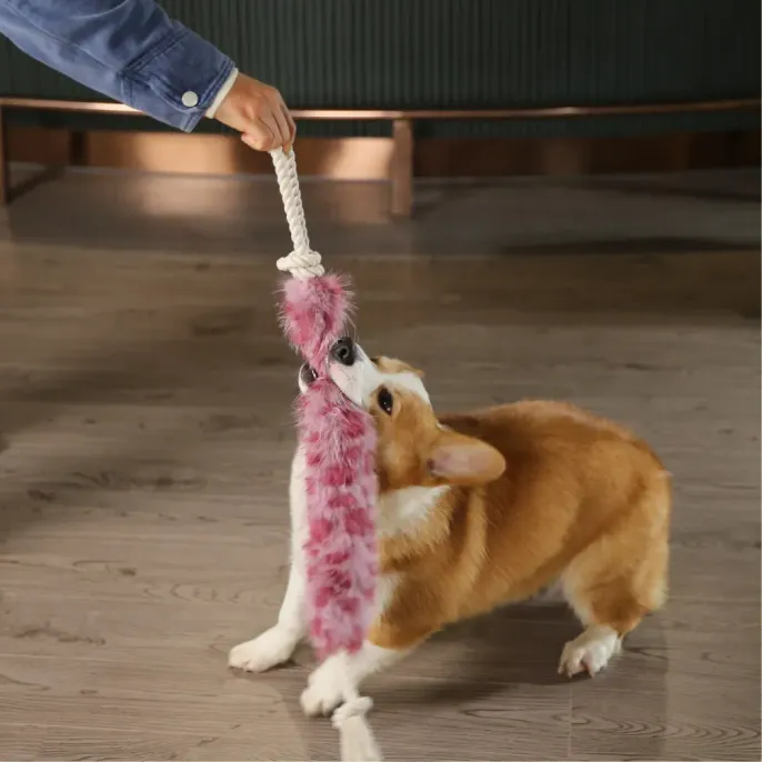 Plush Pet Toys_8 Plush Pet Toys_8