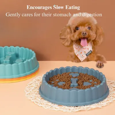 dog food slow feeder Slow Feeder Pet Bowl Anti Choking Non Slip Food Dish for Dogs and Cats