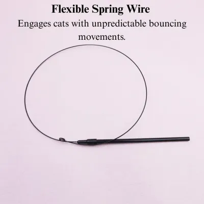 Cat Teaser Wand Toy with Spring Wire Handle Attachment