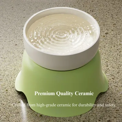 Ceramic Elevated Cat Bowl Anti Spill Food and Water Feeder