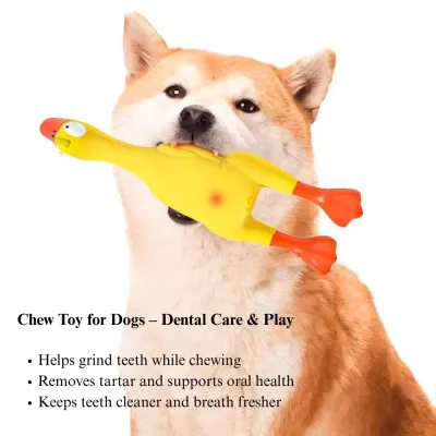 durable latex squeaker durable latex squeaker