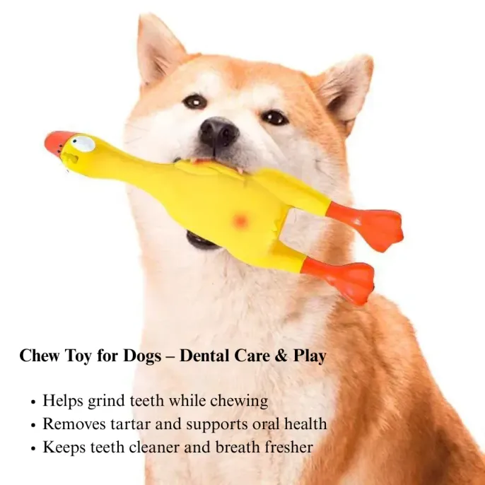 durable latex squeaker durable latex squeaker