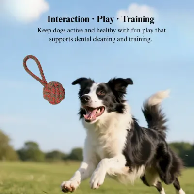 cotton rope dog tug
