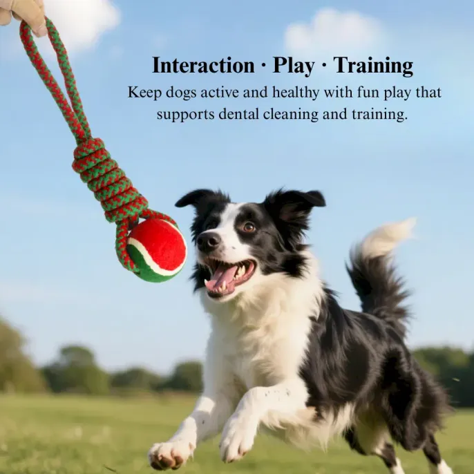 interactive rope pet toy