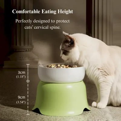 anti spill cat feeder
