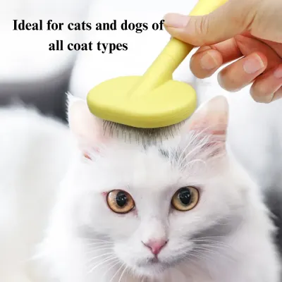 shedding brush for cats